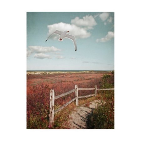 Brooke T. Ryan 'Gull Over Coastal Trail' Canvas Art,14x19